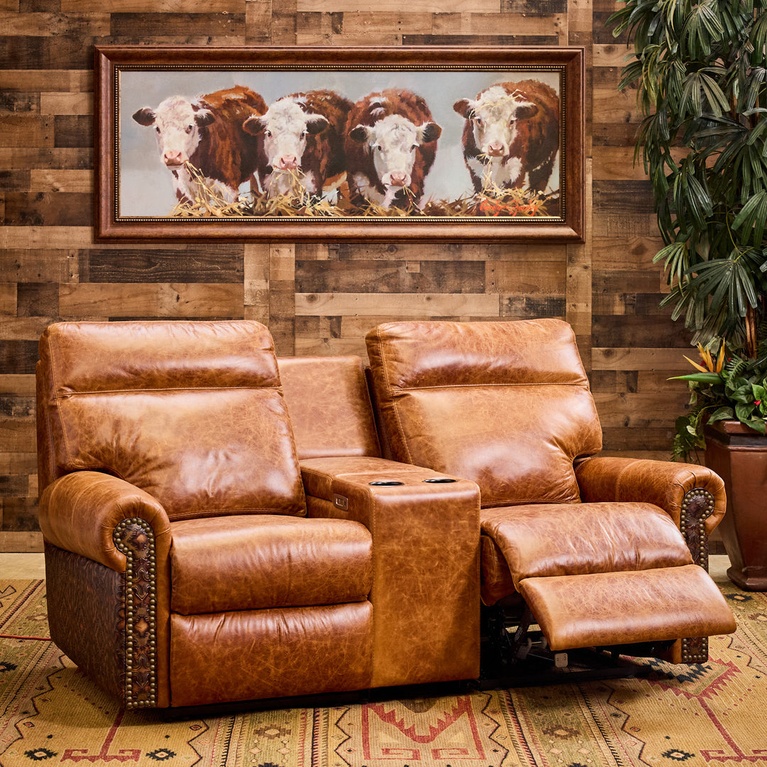 Dripping Springs Leather Media Seating