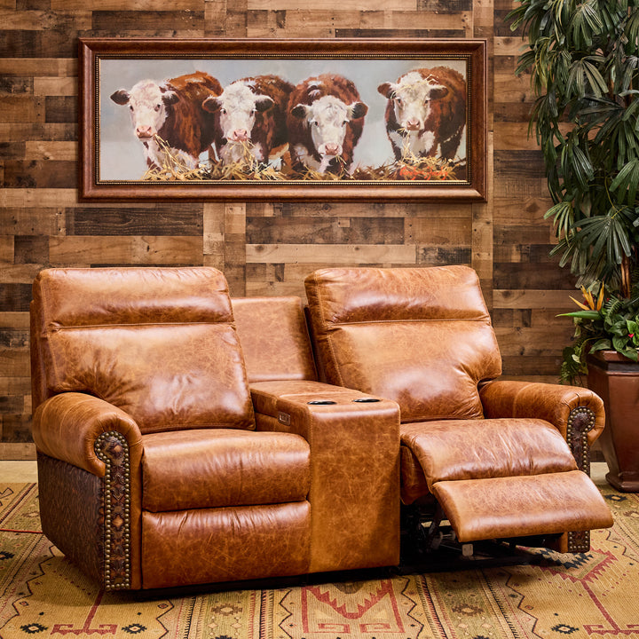 Dripping Springs Leather Media Seating
