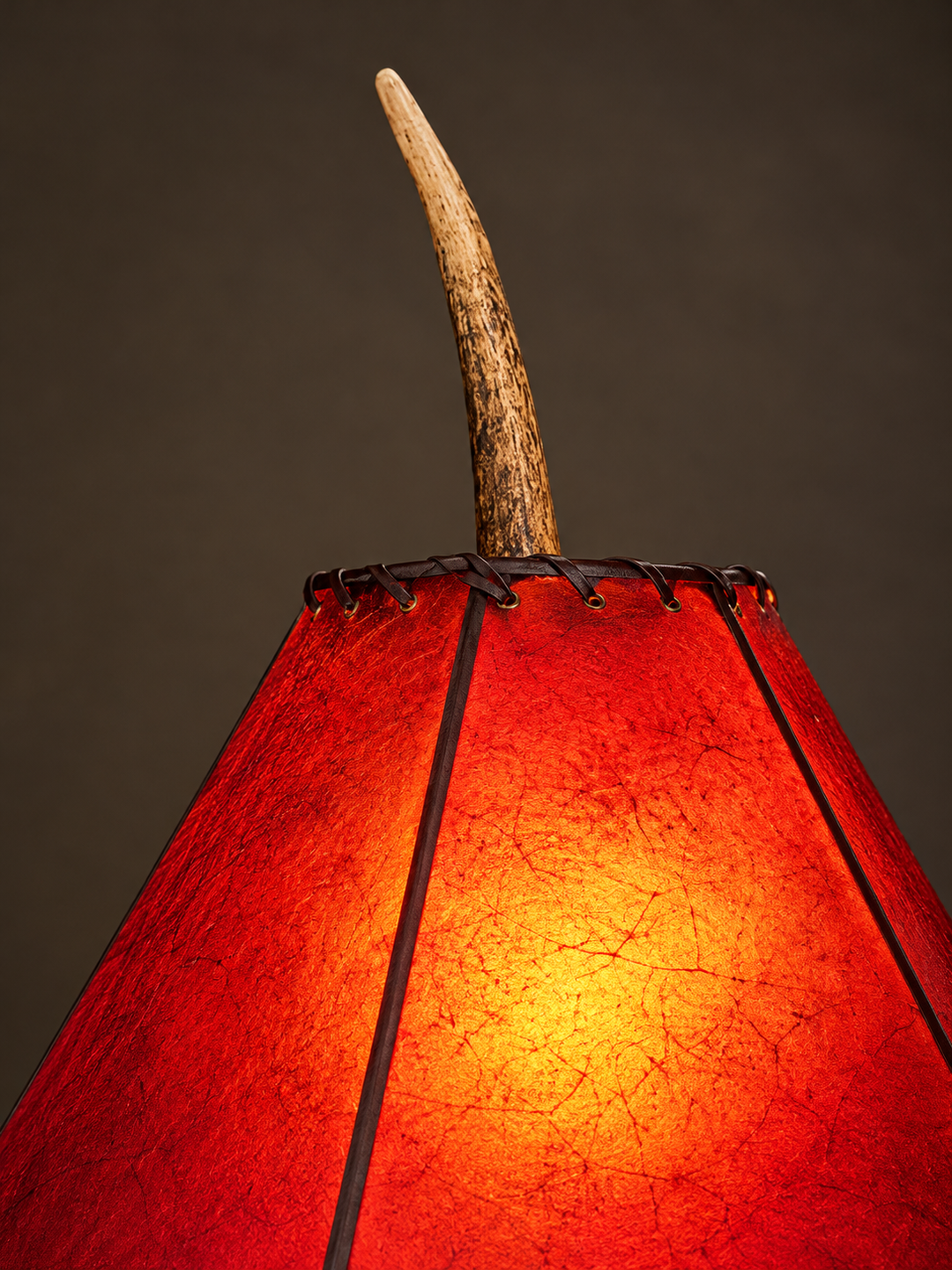 Texas Whitetail Antler Table Lamp