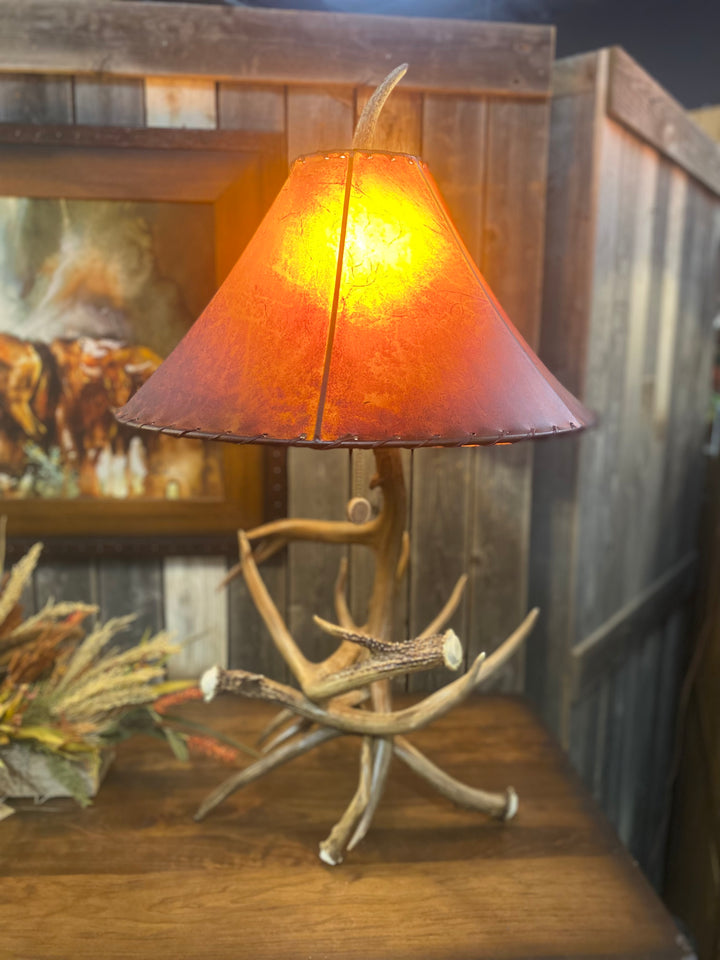 Texas Whitetail Antler Table Lamp